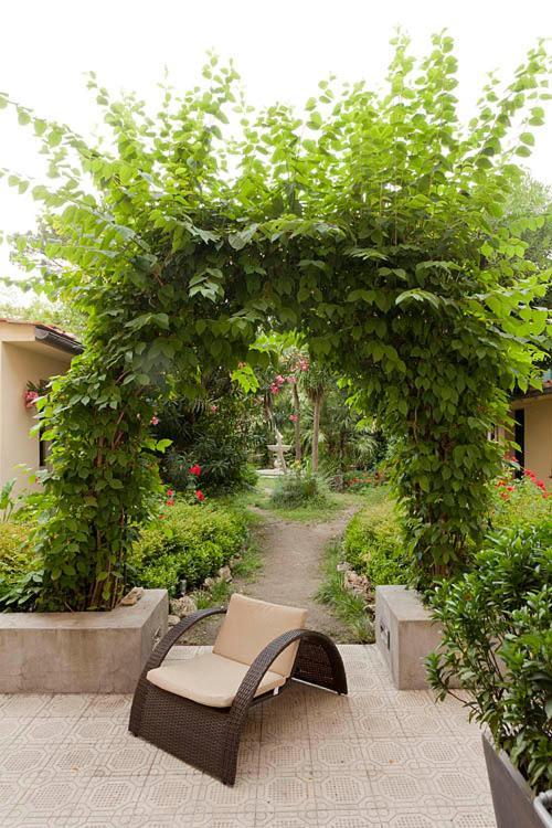 Hotel Novecento Pisa Dış mekan fotoğraf
